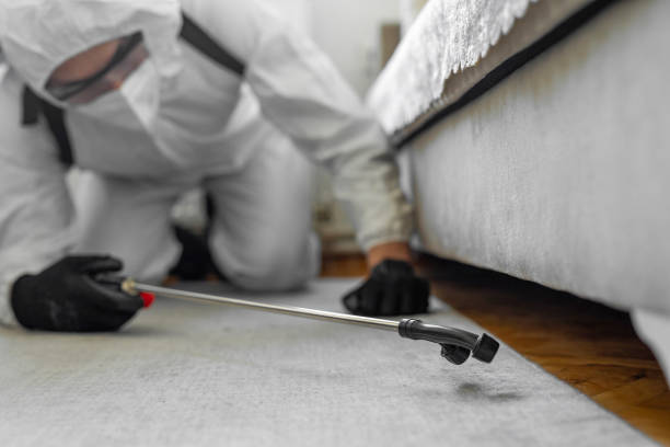 Professional Bed Bug Control technician working in Charles Mix County County, SD